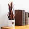 Auburn Snake Plant, University of Auburn Faux Snake Plant, Auburn Gifts for Men, Auburn Gifts for Women, Auburn Gifts - Auburn Tigers Decorations, Desk Sets and Accessories for Women